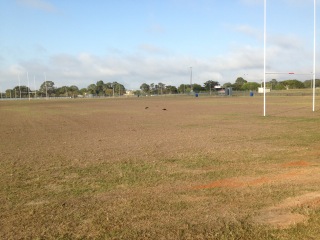 BOBCAT HIRE NORTH LAKES